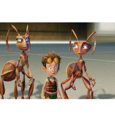 DVD Lucas Fourmi Malgrè Lui