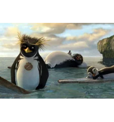 DVD Les Rois De La Glisse 2 Disc