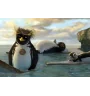DVD Les Rois De La Glisse 2 Disc
