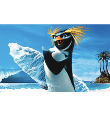 DVD Les Rois De La Glisse 2 Disc