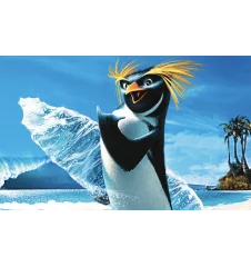 DVD Les Rois De La Glisse 2 Disc