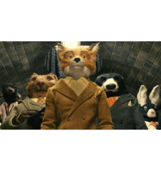 DVD Fantastic Mr.Fox