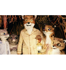 DVD Fantastic Mr.Fox