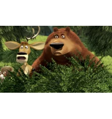 DVD Les Rebelles De La Foret 2