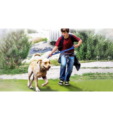 DVD Mon Copain Jupiter