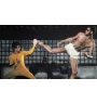 DVD Bruce Lee Le Jeu De La Mort