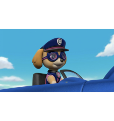 DVD Pat Patrouille Sauvetage Express