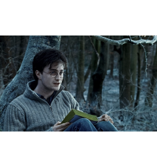 DVD Harry Potter Et Les Reliques De La Mort 1ere Partie