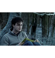 DVD Harry Potter Et Les Reliques De La Mort 1ere Partie