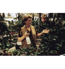 DVD Saving Grace Neuf