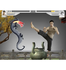 PS2 Eyetoy Kinetic Cib