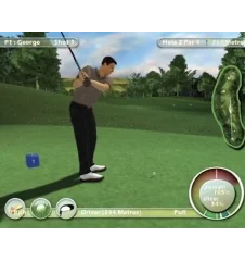 PS2 International Golf Pro Cib