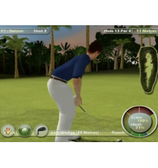PS2 International Golf Pro Cib