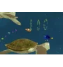 PS2 Le Monde De Nemo Sn