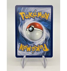 copy of Dresseur Montagnes Orageuses 232/203