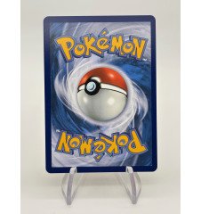 copy of Dresseur Montagnes Orageuses 232/203