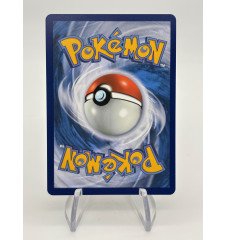 copy of Dresseur Montagnes Orageuses 232/203