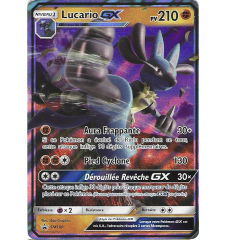 Lucario GX SM100