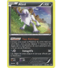 Absol 40/108 Holo