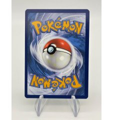 copy of Dresseur Montagnes Orageuses 232/203