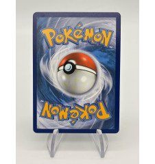 copy of Dresseur Montagnes Orageuses 232/203