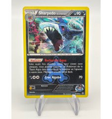 copy of Dresseur Montagnes Orageuses 232/203