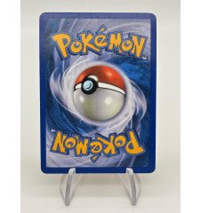 copy of Dresseur Montagnes Orageuses 232/203