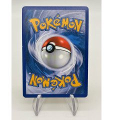 copy of Dresseur Montagnes Orageuses 232/203