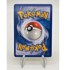 copy of Dresseur Montagnes Orageuses 232/203