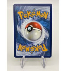 copy of Dresseur Montagnes Orageuses 232/203