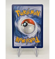 copy of Dresseur Montagnes Orageuses 232/203