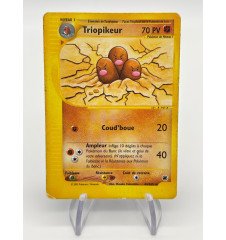 copy of Dresseur Montagnes Orageuses 232/203