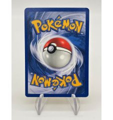 copy of Dresseur Montagnes Orageuses 232/203