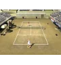 PS2 Perfect Ace Pro Tournament Tennis Cib