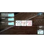 PS2 Poker Masters Cib