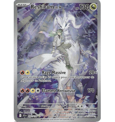 copy of Dresseur Montagnes Orageuses 232/203