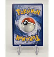 copy of Dresseur Montagnes Orageuses 232/203