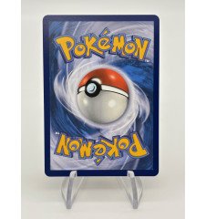 copy of Dresseur Montagnes Orageuses 232/203