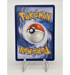 copy of Dresseur Montagnes Orageuses 232/203