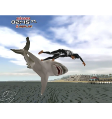 PS2 Transworld Surf Cib