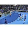 PS3 Ihf Handball Challenge Cib