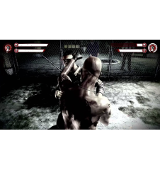 PS3 The fight ess cib