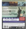 PS4 The Falconeer Warrior Edition Neuf
