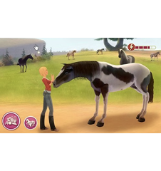 PSP Imagine Champion Rider Loose