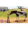 PSP imagine champion rider loose