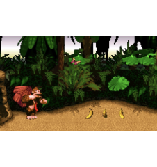 SNES Donkey Kong Country CIB