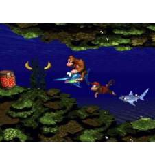 SNES Donkey Kong Country CIB