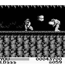 Game Boy Fighting Simulator 2 in 1 Flying Warriors Loose Usa