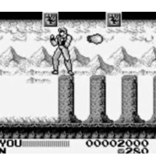 Game Boy Fighting Simulator 2 in 1 Flying Warriors Loose Usa