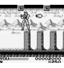 Game Boy Fighting Simulator 2 in 1 Flying Warriors Loose Usa